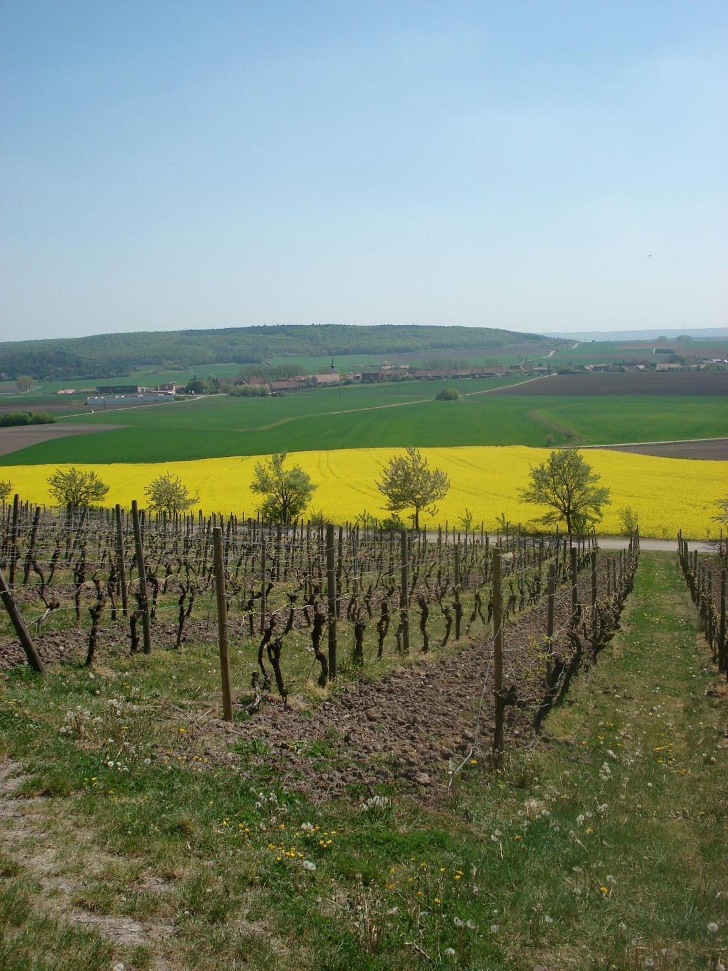 Landgasthof Zum Schwarzen Adler Markt Nordheim المظهر الخارجي الصورة