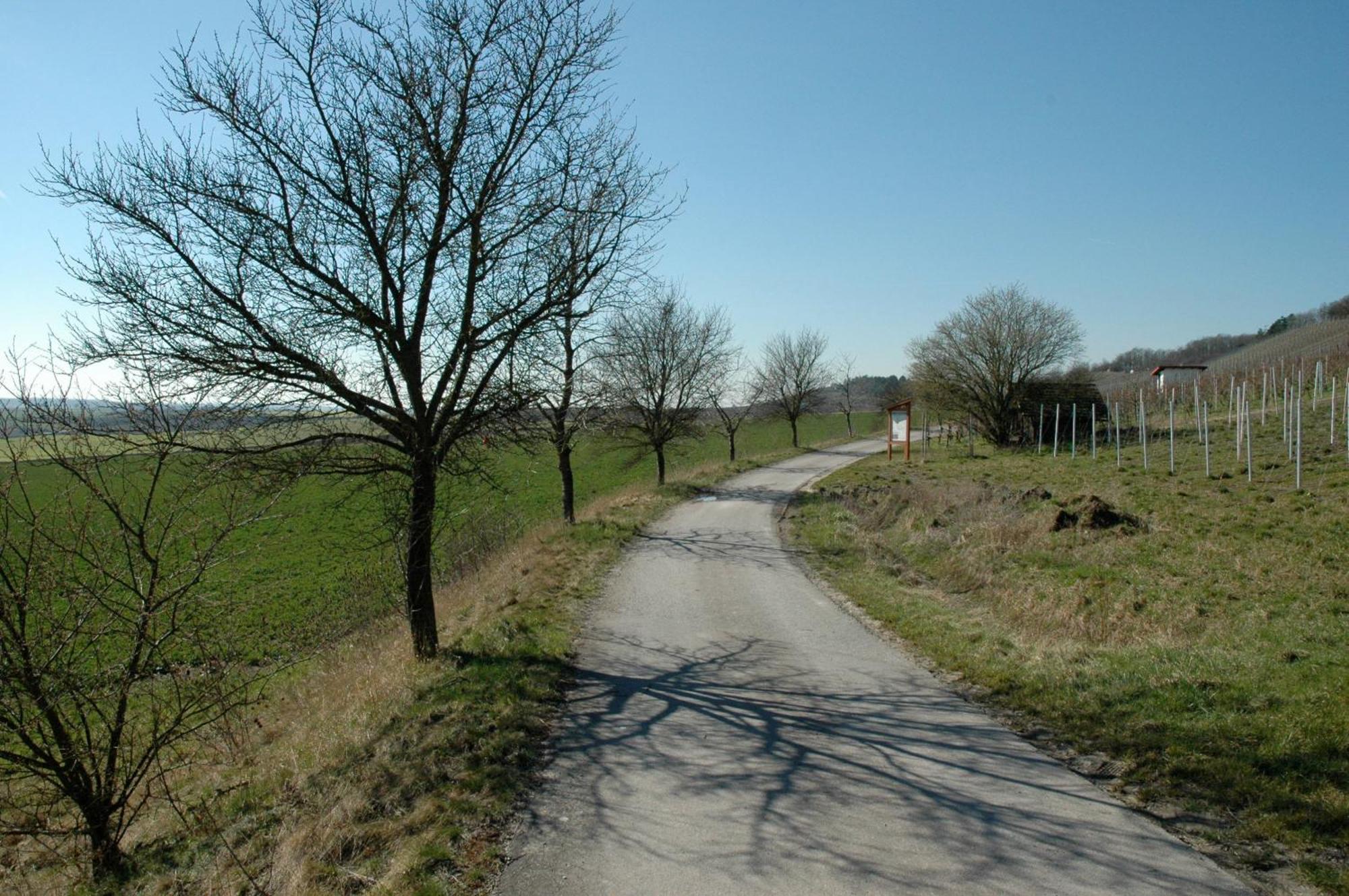 Landgasthof Zum Schwarzen Adler Markt Nordheim المظهر الخارجي الصورة